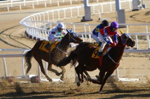 Best in 2027 Real Money Best Odds for Horse Racing: Pro Tips to Win in India (2027)